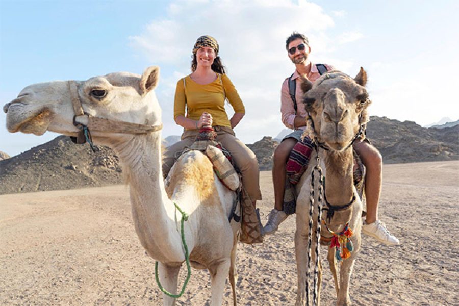 Camel Riding in Desert