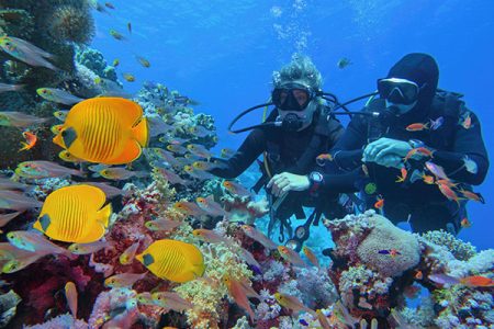 Intro Diving Hurghada