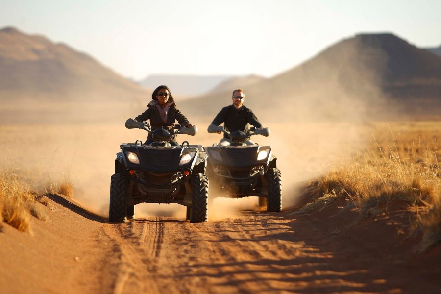 Moto Safari Afternoon